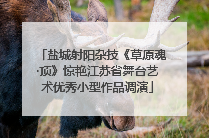 盐城射阳杂技《草原魂·顶》惊艳江苏省舞台艺术优秀小型作品调演