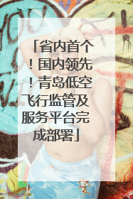 省内首个！国内领先！青岛低空飞行监管及服务平台完成部署
