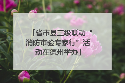 省市县三级联动“消防审验专家行”活动在德州举办