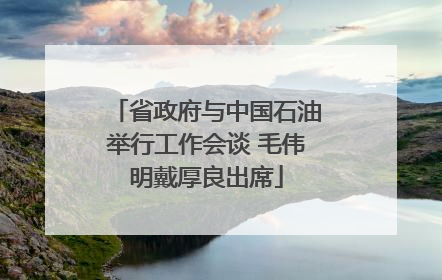 省政府与中国石油举行工作会谈 毛伟明戴厚良出席