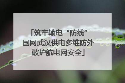 筑牢输电“防线” 国网武汉供电多维防外破护航电网安全