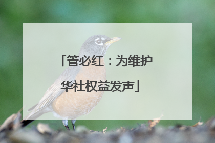 管必红：为维护华社权益发声