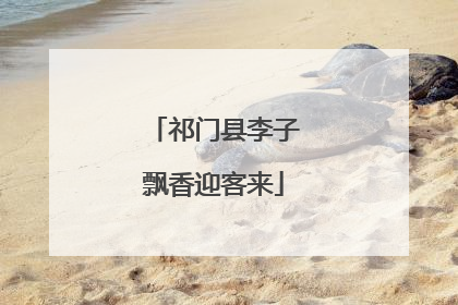 祁门县李子飘香迎客来