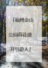 福州金山公园荷花盛开引游人