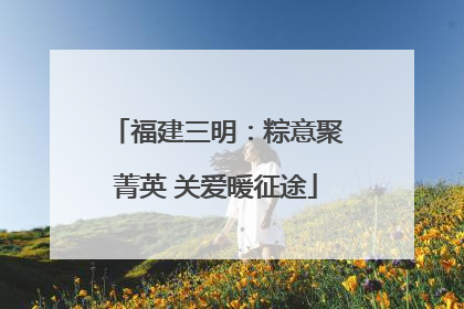 福建三明：粽意聚菁英 关爱暖征途