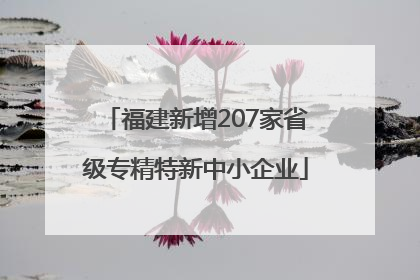 福建新增207家省级专精特新中小企业