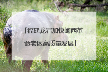 福建龙岩加快闽西革命老区高质量发展
