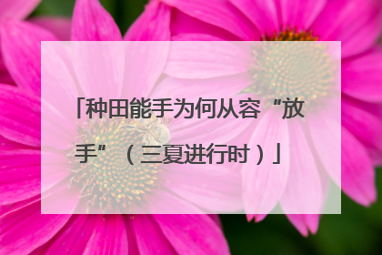 种田能手为何从容“放手”（三夏进行时）