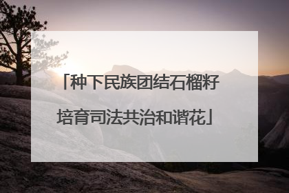 种下民族团结石榴籽 培育司法共治和谐花