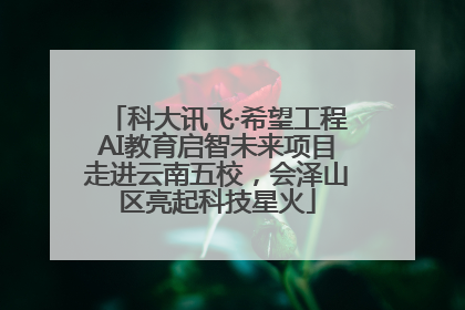科大讯飞·希望工程AI教育启智未来项目走进云南五校，会泽山区亮起科技星火