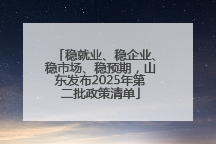 稳就业、稳企业、稳市场、稳预期，山东发布2025年第二批政策清单