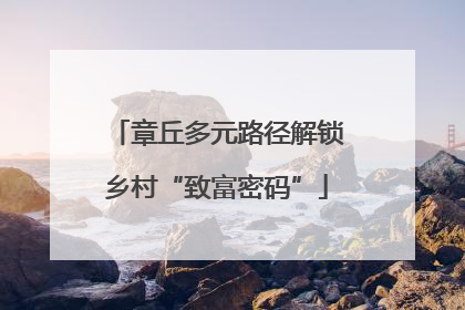 章丘多元路径解锁乡村“致富密码”