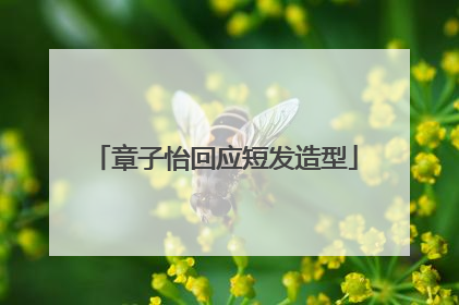 章子怡回应短发造型