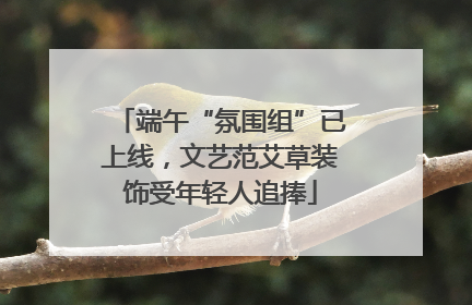 端午“氛围组”已上线，文艺范艾草装饰受年轻人追捧