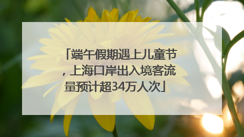 端午假期遇上儿童节，上海口岸出入境客流量预计超34万人次