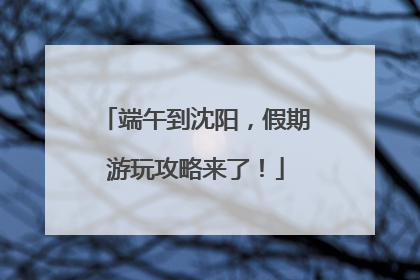 端午到沈阳，假期游玩攻略来了！