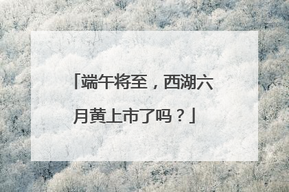 端午将至，西湖六月黄上市了吗？