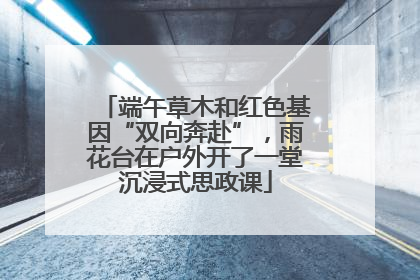 端午草木和红色基因“双向奔赴”，雨花台在户外开了一堂沉浸式思政课