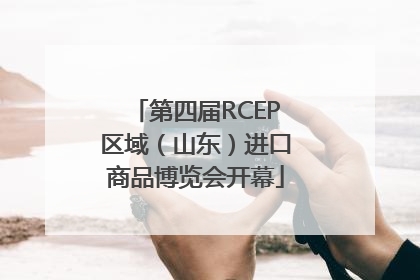 第四届RCEP区域（山东）进口商品博览会开幕