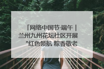网络中国节·端午｜兰州九州花坛社区开展“红色领航 粽香敬老”端午主题活动
