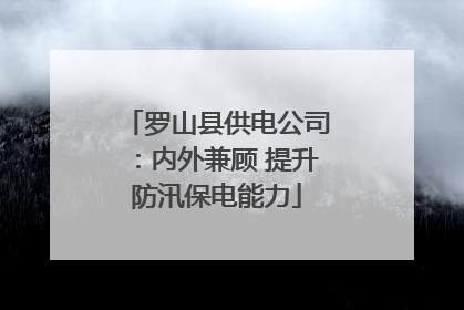 罗山县供电公司：内外兼顾 提升防汛保电能力