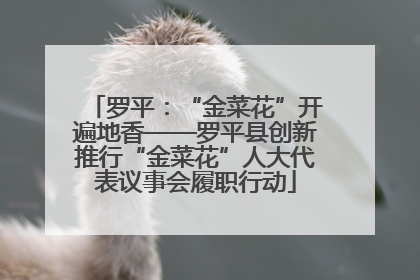 罗平：“金菜花”开遍地香——罗平县创新推行“金菜花”人大代表议事会履职行动