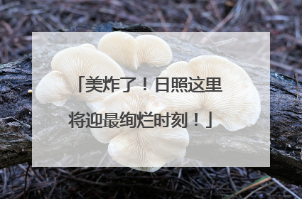 美炸了！日照这里将迎最绚烂时刻！