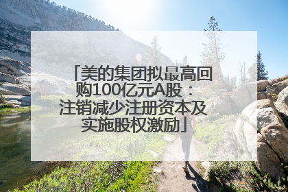 美的集团拟最高回购100亿元A股：注销减少注册资本及实施股权激励