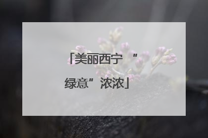 美丽西宁 “绿意”浓浓