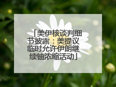 美伊核谈判细节披露：美提议临时允许伊朗继续铀浓缩活动