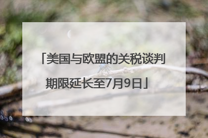 美国与欧盟的关税谈判期限延长至7月9日