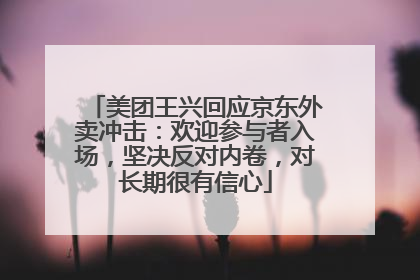 美团王兴回应京东外卖冲击：欢迎参与者入场，坚决反对内卷，对长期很有信心