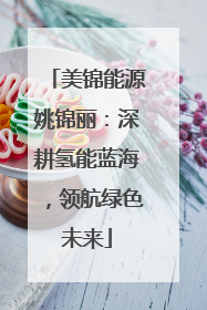 美锦能源姚锦丽：深耕氢能蓝海，领航绿色未来