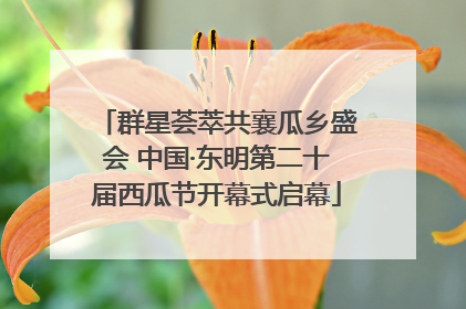 群星荟萃共襄瓜乡盛会 中国·东明第二十届西瓜节开幕式启幕
