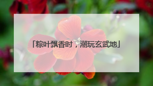 粽叶飘香时，潮玩玄武地