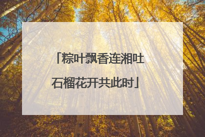粽叶飘香连湘吐 石榴花开共此时