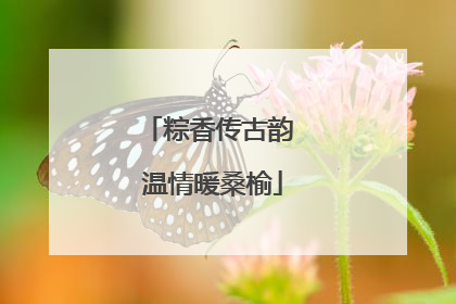 粽香传古韵 温情暖桑榆
