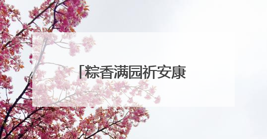粽香满园祈安康 传统民俗乐传承