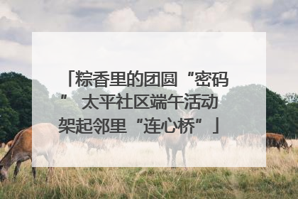 粽香里的团圆“密码” 太平社区端午活动架起邻里“连心桥”