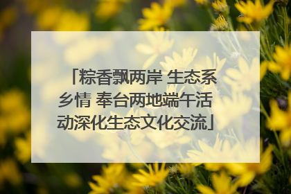 粽香飘两岸 生态系乡情 奉台两地端午活动深化生态文化交流