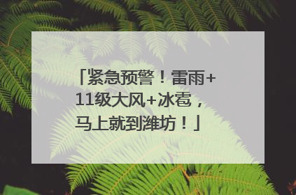 紧急预警！雷雨+11级大风+冰雹，马上就到潍坊！