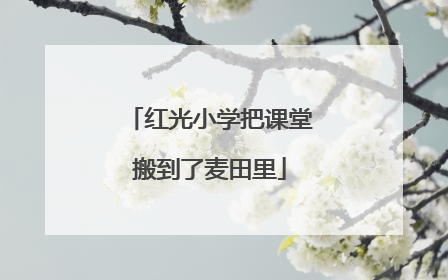 红光小学把课堂搬到了麦田里