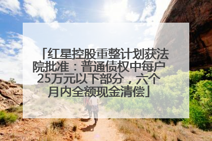红星控股重整计划获法院批准：普通债权中每户25万元以下部分，六个月内全额现金清偿
