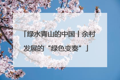 绿水青山的中国丨余村发展的“绿色变奏”