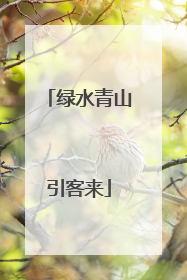 绿水青山引客来