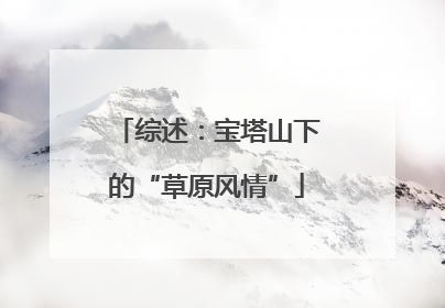 综述：宝塔山下的“草原风情”