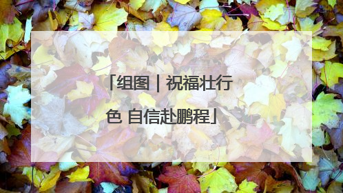 组图｜祝福壮行色 自信赴鹏程