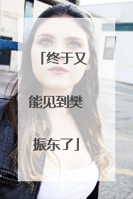 终于又能见到樊振东了