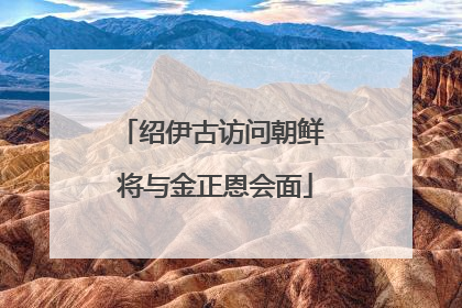 绍伊古访问朝鲜 将与金正恩会面