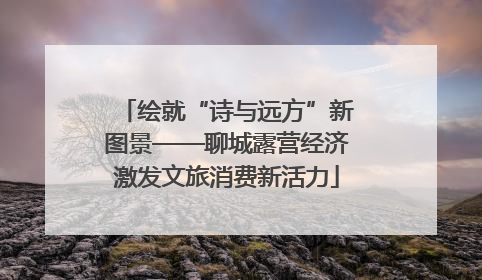 绘就“诗与远方”新图景——聊城露营经济激发文旅消费新活力